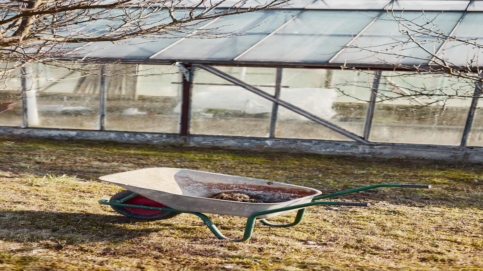Greenhouse workbench with cultivation tools and field notebooks