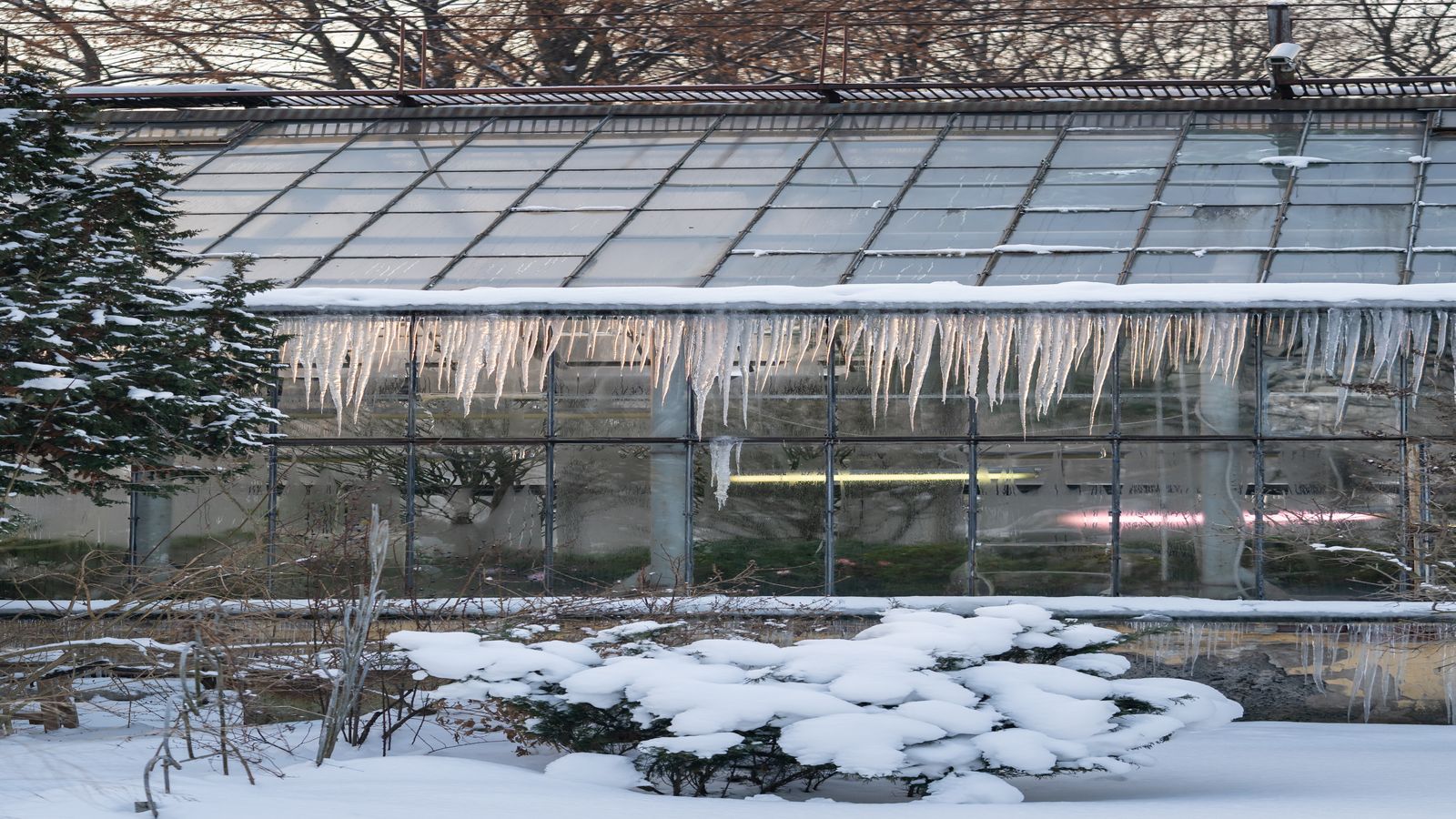 Greenhouse interior with ducting running from an adjacent mining enclosure into the growing space