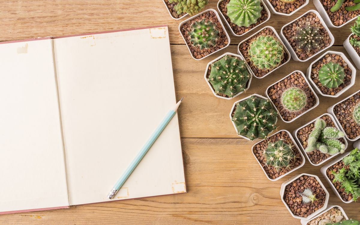 Greenhouse interior with handwritten labels on plant trays and a notebook resting on the edge of a bench